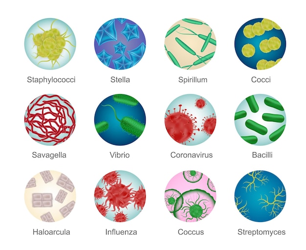 Bacteriën vormen een reeks geïsoleerde cirkelpictogrammen met realistische kleurrijke micro-organismestructuren en bewerkbare tekstbijschriften vectorillustratie