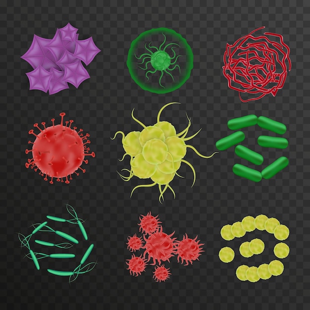 Bacteriën vormen set van realistische pictogrammen op transparante achtergrond met kleurrijke geïsoleerde afbeeldingen van fermentatie micro-organismen vectorillustratie