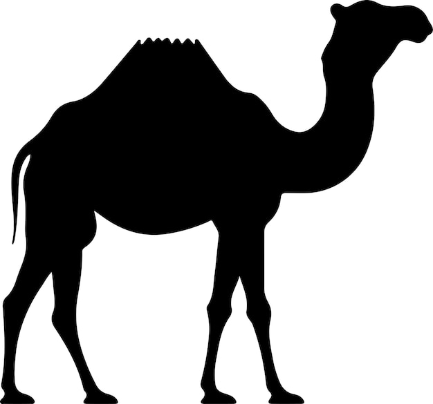 Vector bactriancamel silhouet