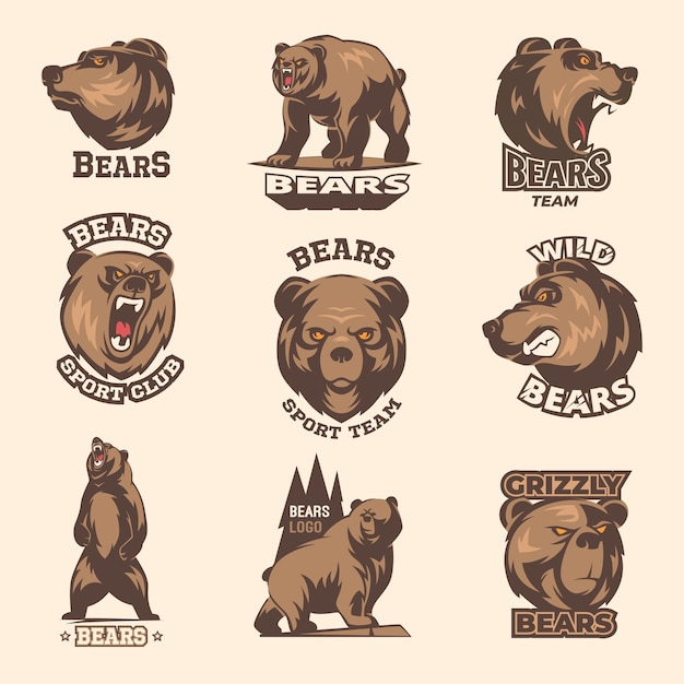 Badges with bears sport and adventure labels with aggressive animals in action poses exact vector templates with place for text