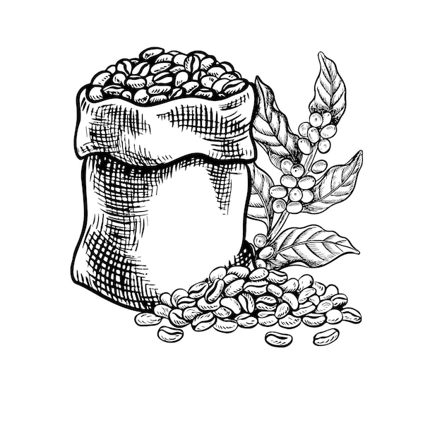 Una borsa piena di chicchi di caffè una manciata di chicci di caffè illustrazione vettoriale in bianco e nero