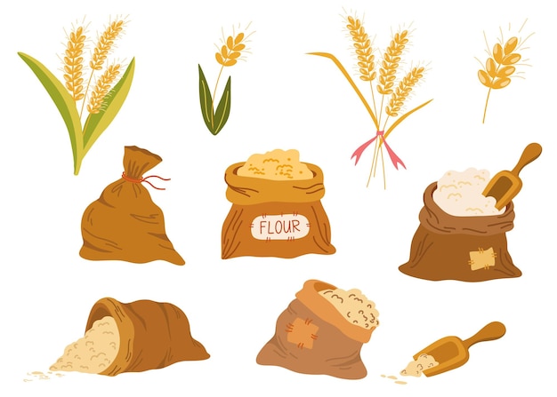 Set di sacchi di farina e spighe di grano frumento segale spiga di segale simbolo della raccolta del pane agricolo gambi interi un elemento vegetariano organico dell'imballaggio alimentare illustrazione piatta vettoriale