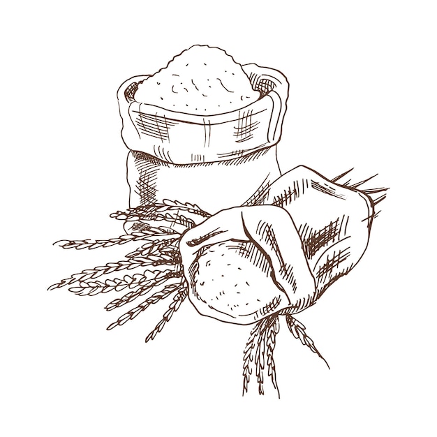 ベクトル 小麦粉と小麦の小穂が入ったバッグ スケッチ図面、スケッチ アイコン、ベーカリー要素