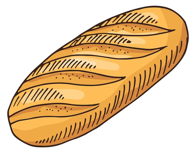 Vector baguette color sketch hand drawn wheat bread isolated on white background