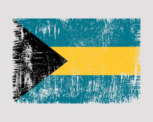 Vector bahamas flag vector