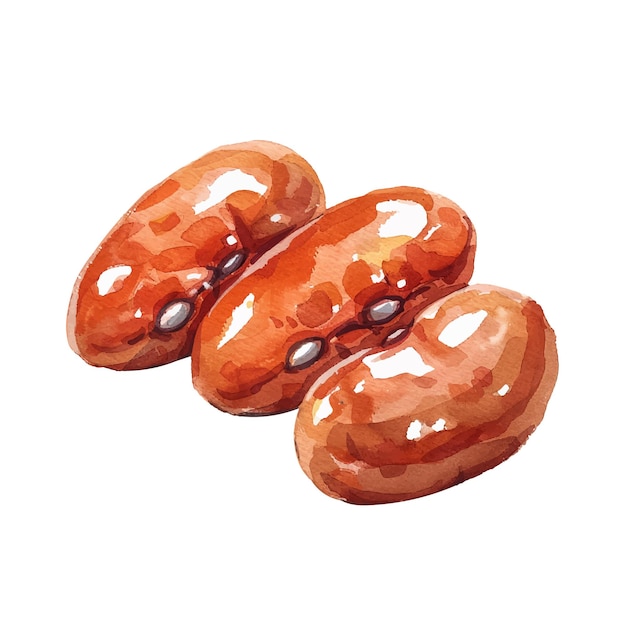 Vector baked beans vector illustration in watercolour style