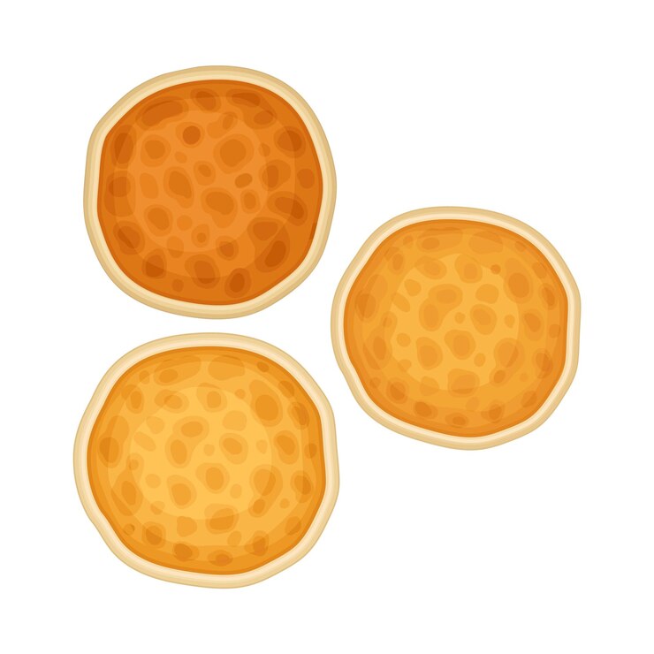Vector baked sweet pancake as breakfast ingredients vector illustration