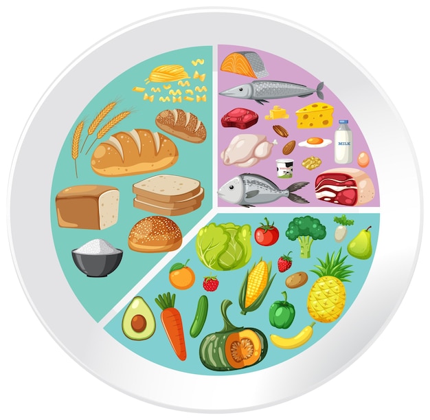balanced diet food groups illustration