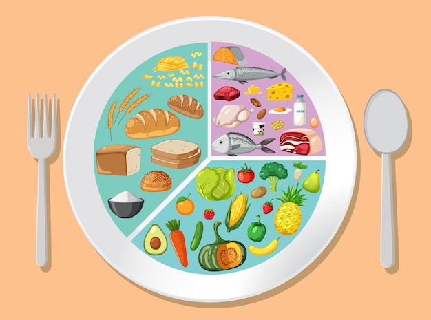 balanced diet food plate illustration