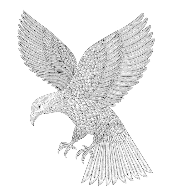 Bald eagle flying attacking vintage engraving drawing style vector illustration