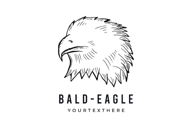 Vector bald eagle head bird hand drawn line sketch drawing vector logo illustration