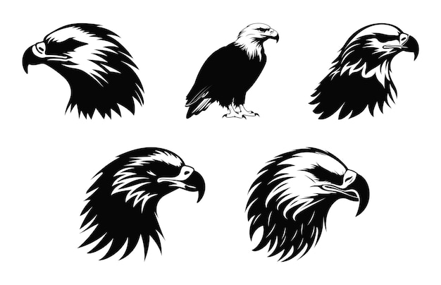 Bald Eagle Head Silhouette Vector Set Eagle face black Silhouette Set