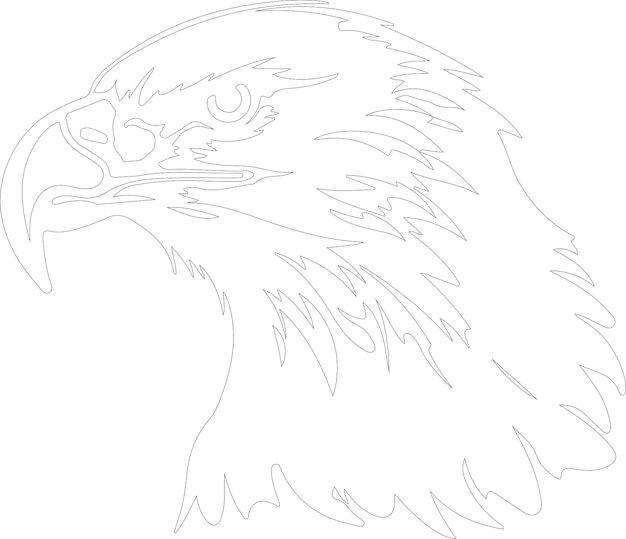 Vector bald eagle outline with transparent background