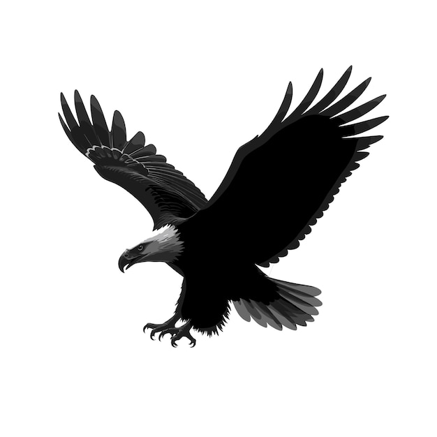 bald eagle silhouette vector illustrations