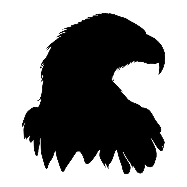 Vector bald eagle silhouette on white background