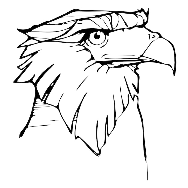 Vector bald eagle