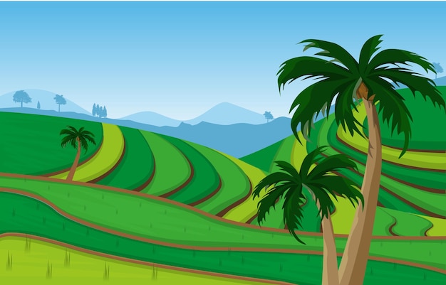 Vector bali terraced paddy rice field agriculture nature view illustration