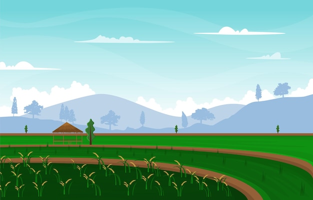 Vector bali terraced paddy rice field agriculture nature view illustration