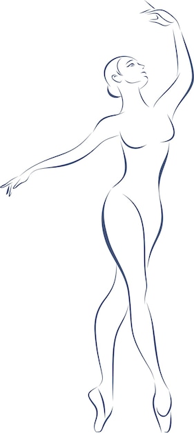 Vector ballerina doing exersice art sketch of female body woman dancing classic ballet