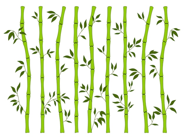 Bamboe groene stambladranden instellen exotische verse natuurlijke aziatische traditionele boombladeren plantstokken