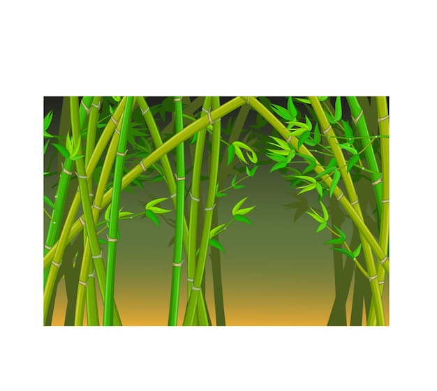 bamboe op de jungle