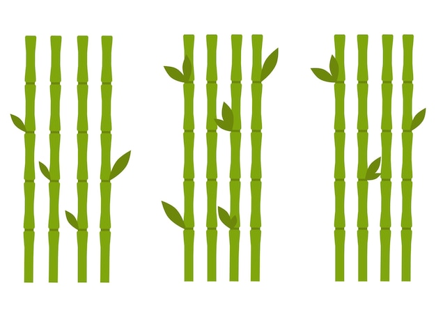 bamboe vector ontwerp illustratie geïsoleerd op een witte achtergrond