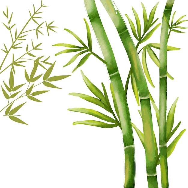 bamboeboomillustratie voor frame en decoratie