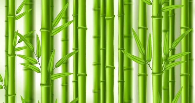 Bamboo background Lush bamboo zen grove natural green stems wall with leaves vector illustration