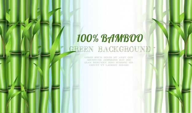 Bamboo eco . with copyspace for your text.