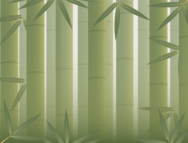 Vector bamboo forest with upright and shady bamboo trees