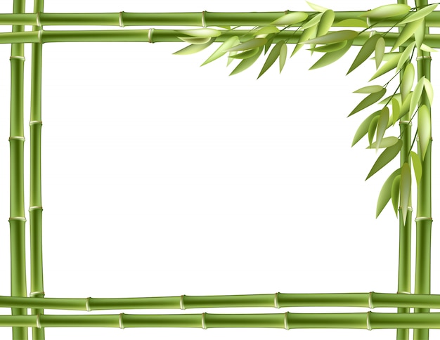 Bamboo frame. vector