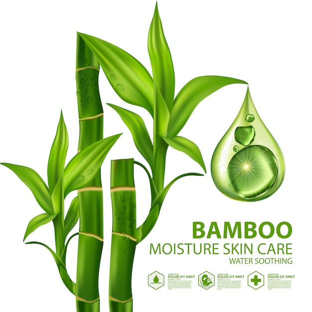 Bamboo isolated in flat design