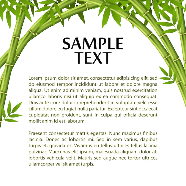 Bamboo layout template