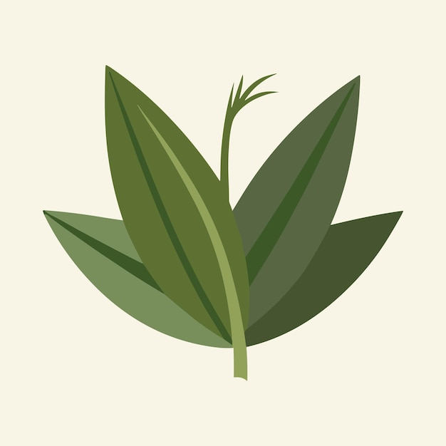 Vector bamboo leaf ill