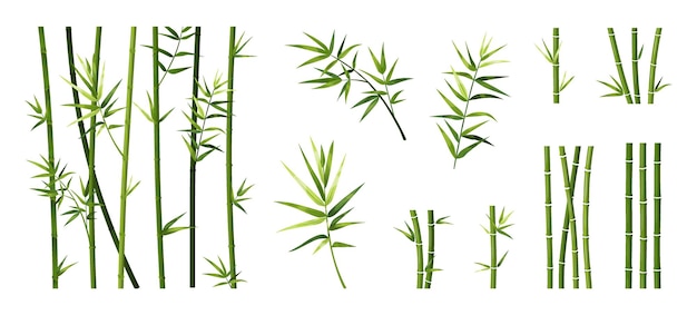 Vector bamboo leaf and stick cartoon tropical trees trunks green asian plants straight segmented stems and branches set japanese decorative elements for borders vector chinese forest