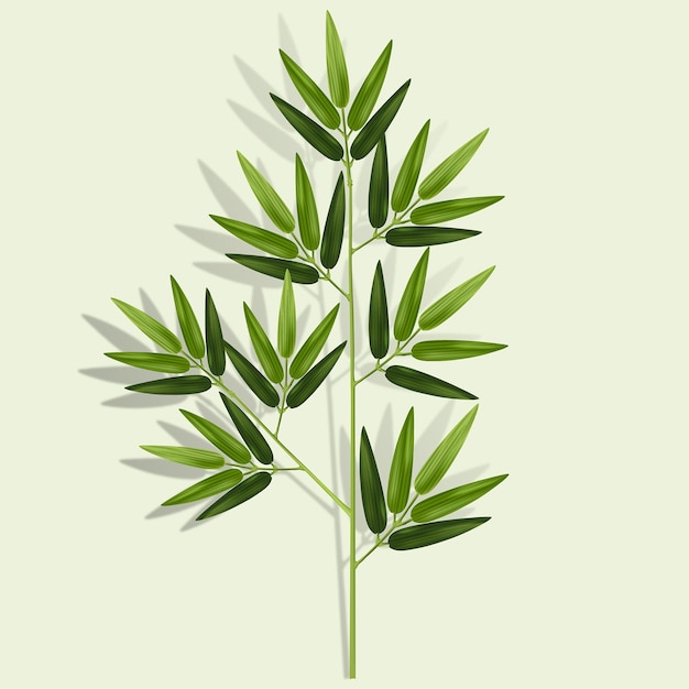 bamboo leaf vector zen style