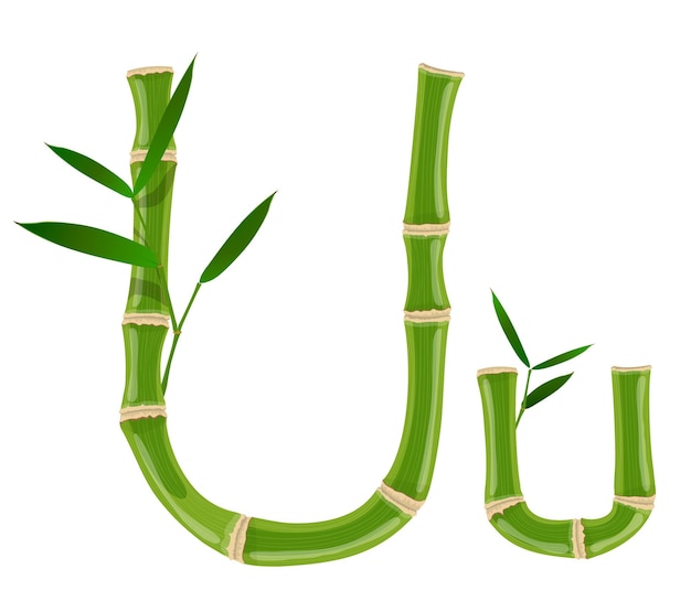 Lettera u di bambù con giovani germogli con foglie, carattere vettoriale eco