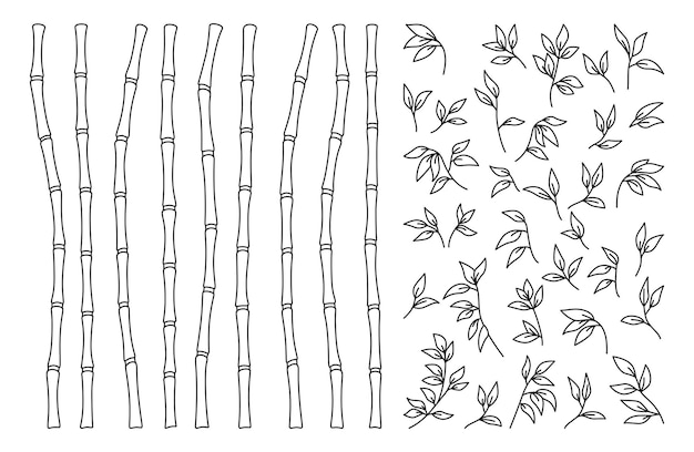 Bamboo stem leaf outline border exotic set decoration elements natural plant linear sketch style