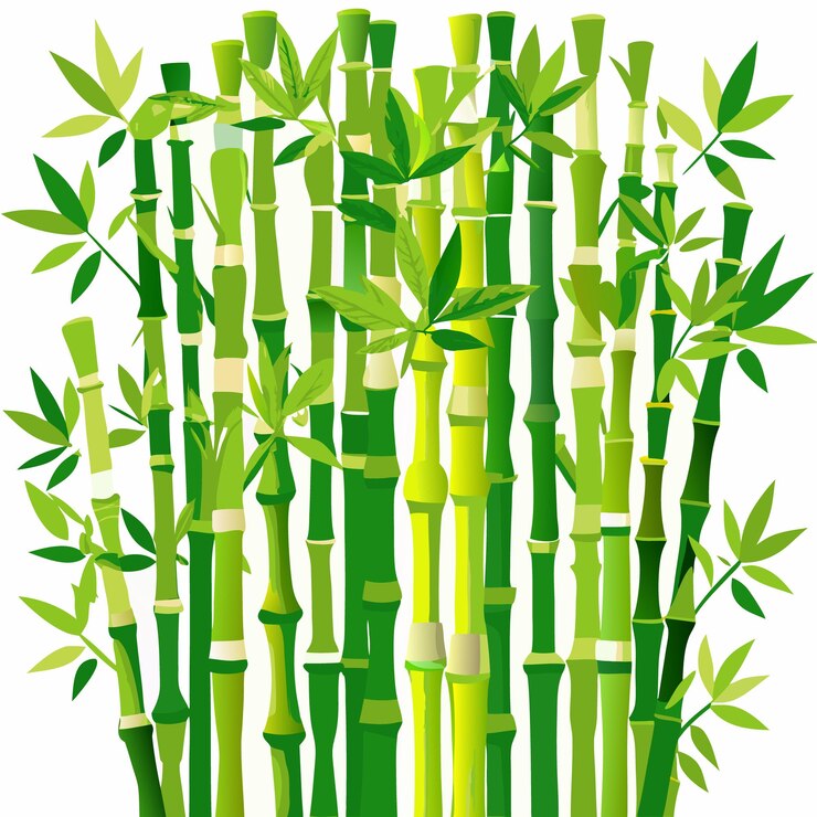 Vector bamboo stems and leaves vector flat style