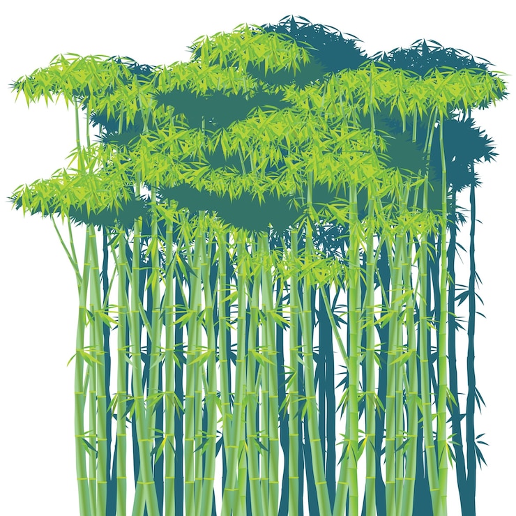 Vector bamboo thickets