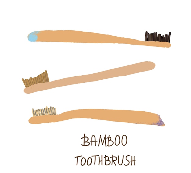 Bamboo tooth brushes set vector illustration