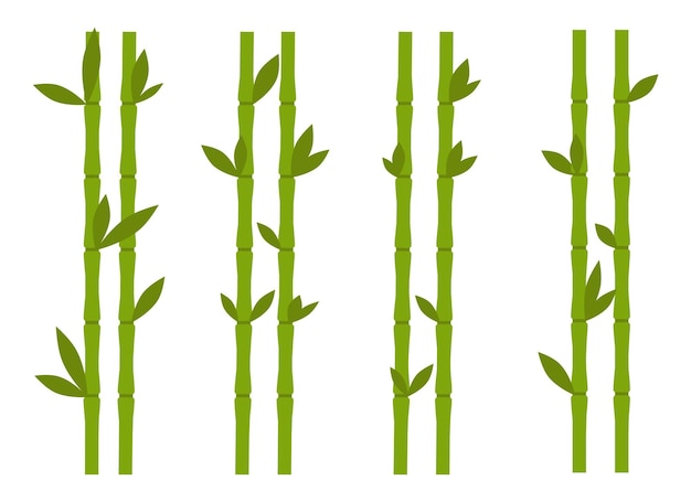 Vettore illustrazione di disegno vettoriale di bambù isolato su sfondo bianco