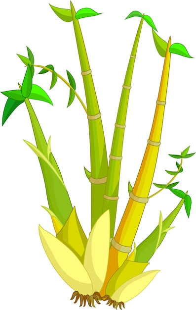 bamboo vector