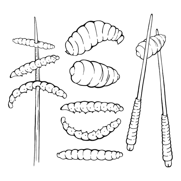 Bamboo worm and larva