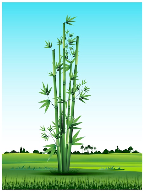 Vector bamboo