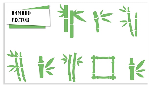 bambooo vector