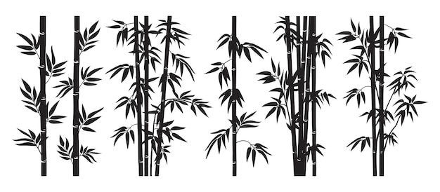 Bambus bos stengels Jungle bambus stengels silhouetten bamboes takken met bladeren decoratieve bamboes platte vector illustratie set zwarte inkt bomen