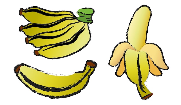 Vector banaan geïsoleerde vector set op witte achtergrond, fruit lijntekeningen vector geïsoleerd