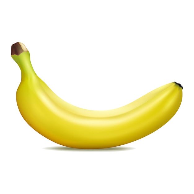 Banaan realistische vectorillustratie geïsoleerd op witte achtergrond