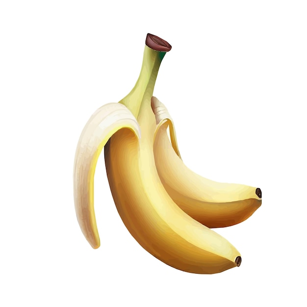 banaan vectorillustratie